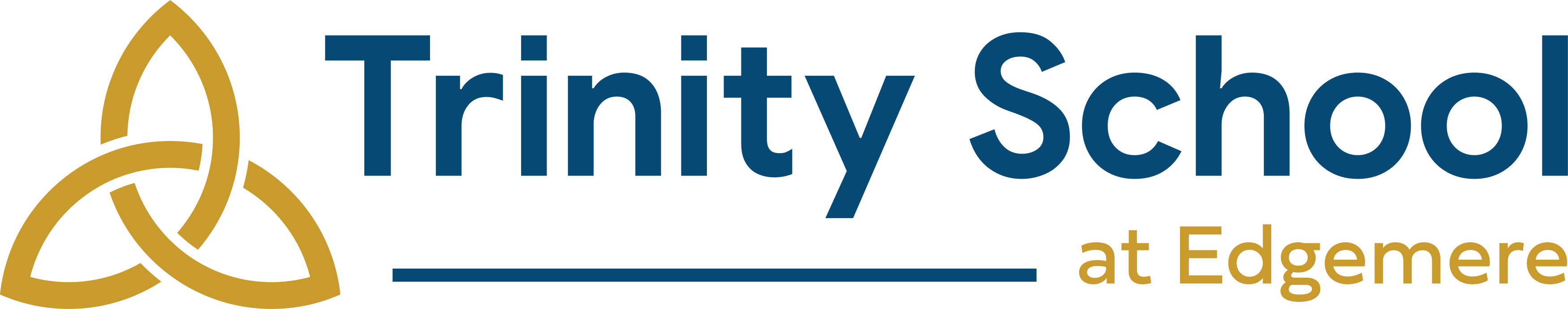 Logo for Trinity School